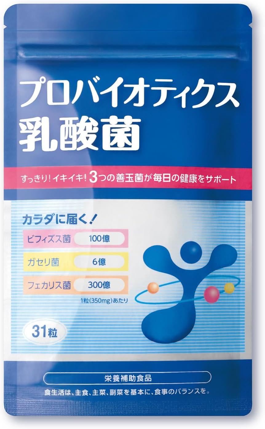 乳酸菌サプリメント カプセル 31粒
